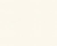 купить A.S.Creation Maistervlies 2020 35064-2