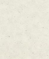 купить Rasch Factory 2 475203