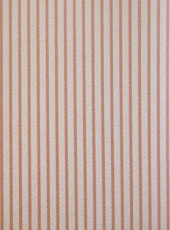 фото Calcutta Pride Pride_Pride309008