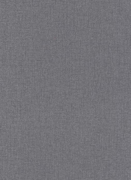 купить Erismann Prime Time 6423-47