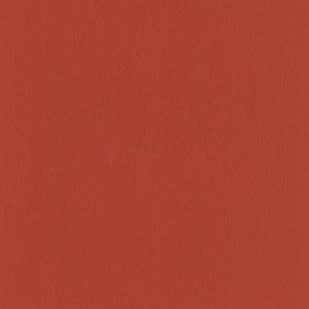 фото Rasch Seduction 2014 796230