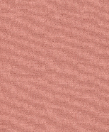 фото Rasch Flower Poetry 2015 410464