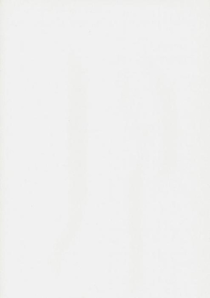 купить BN International Color Stories BN 48470