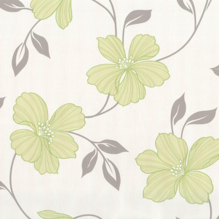 фото P+S International Finesse 05624-20