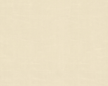 фото A.S.Creation Esprit 8 939166