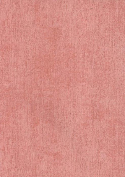 купить BN International Color Stories BN 48453