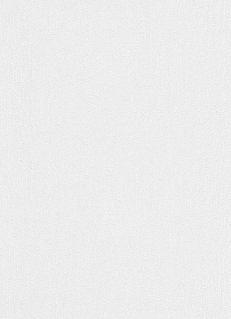 фото Erismann RollOver 3919-10 (3919-01)