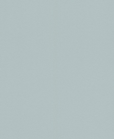 фото Rasch Modern Surfaces 2 610451