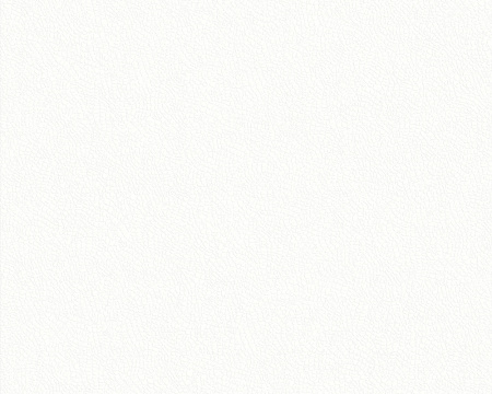 фото A.S.Creation Brigitte 131010