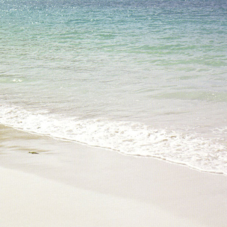 фото Eijffinger Ibiza 330284