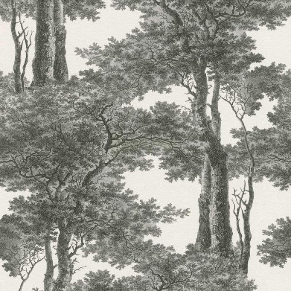 купить Rasch Passepartout 605419