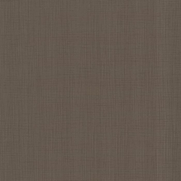 купить P+S International Novara 2 13094-20