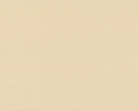 фото A.S.Creation Duetto 850034