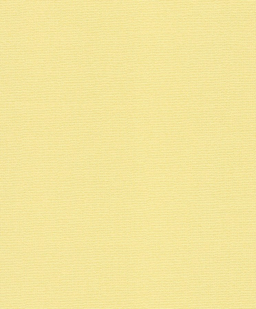 фото Rasch Flower Poetry 2015 410426