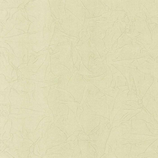 купить P+S International Intense 02258-50