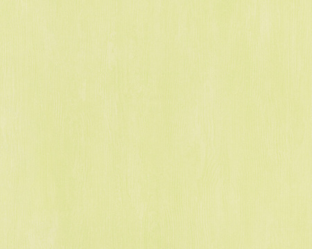 фото A.S.Creation Esprit 8 933942