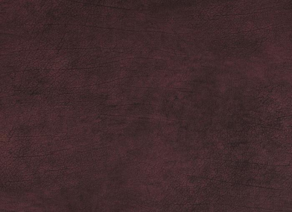 купить BN International Curious 17929