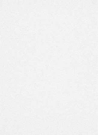 фото Erismann Robusto Vol.2 3901-01