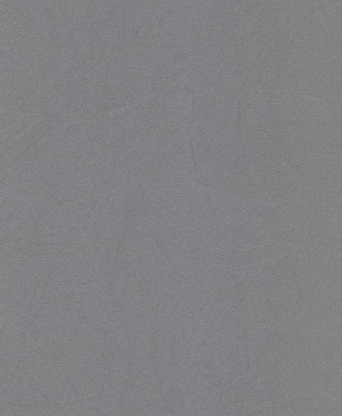 купить Rasch Shiny Chic 403664