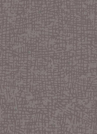 фото Erismann Cassiopeia 1763-37