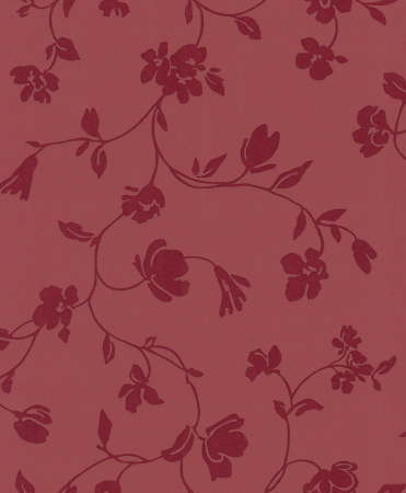 фото Rasch Modern Update 771046