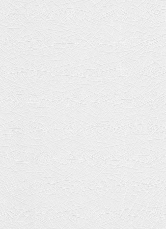 фото Erismann RollOver 5368-10 (5368-01)