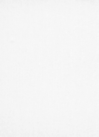 фото Erismann Robusto Vol.2 3902-01