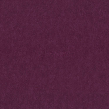 фото P+S International Studio Line 02422-50