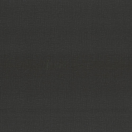 фото P+S International Graphics Alive 13268-40