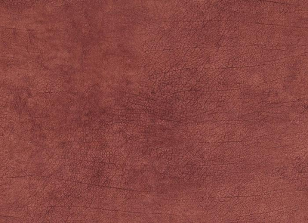 купить BN International Curious 17927