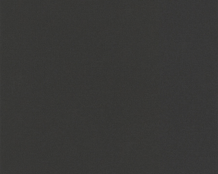 фото A.S.Creation Decora Natur 4 588821