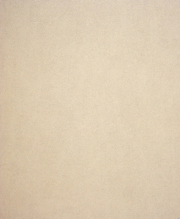 фото Casadeco Harmony 24311423_b