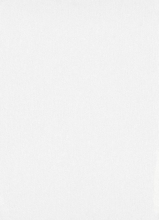 фото Erismann RollOver Expert 3907-01