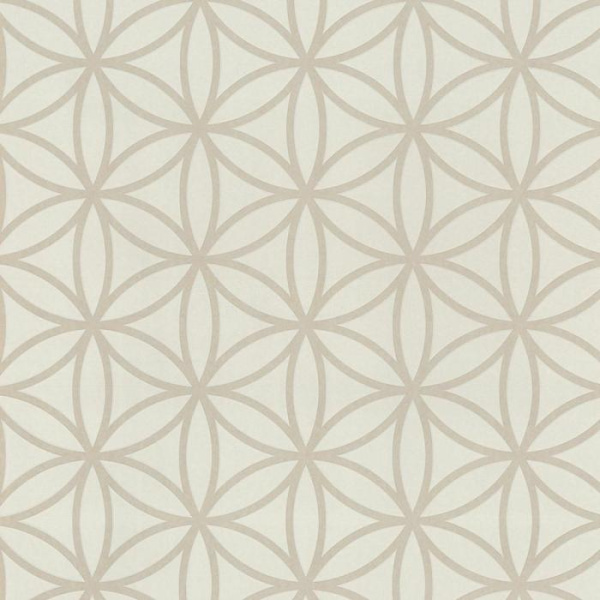 купить P+S International Graphics Alive 13263-20