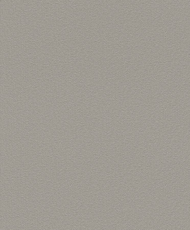 фото Rasch Home Vision VII 739251