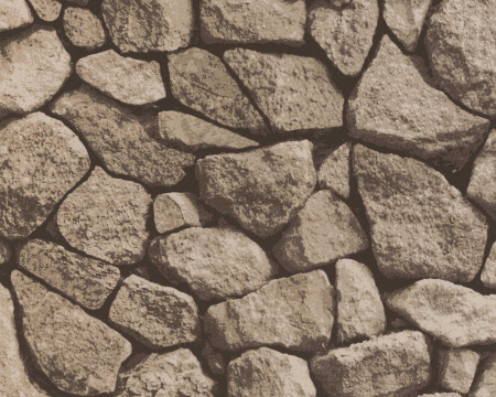 фото A.S.Creation Decora Natur 4 121424