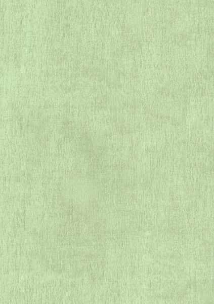 купить BN International Color Stories BN 48466