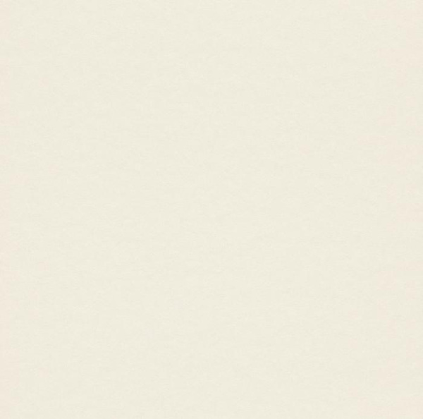 купить Rasch Cosy White 2015 269269