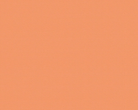 фото A.S.Creation Esprit 13 35755-6