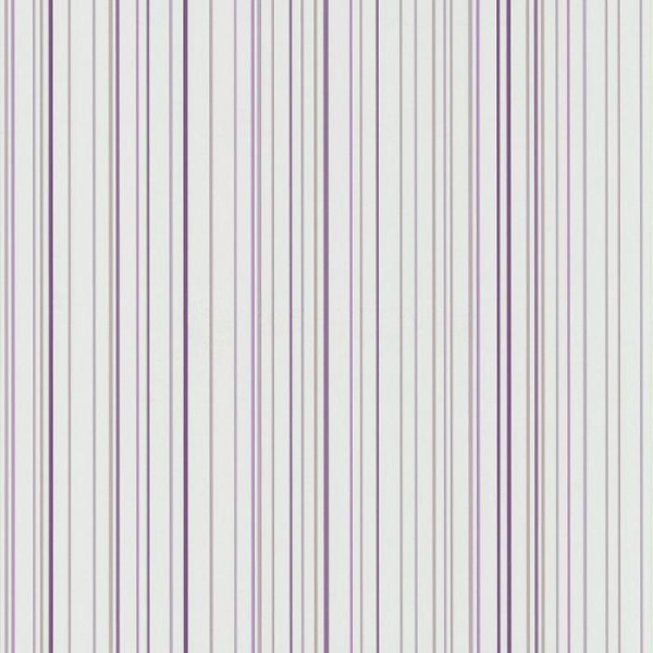 купить P+S International X-treme Color 05564-60