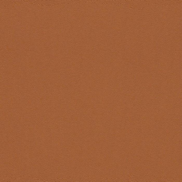 купить Rasch Cosmopolitan 576009