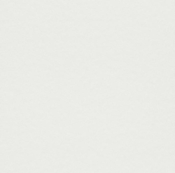купить Rasch Cosy White 2015 269252