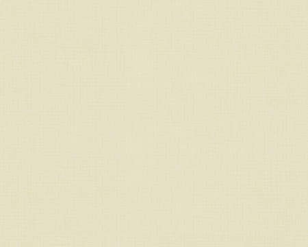 фото A.S.Creation Evelin 298522