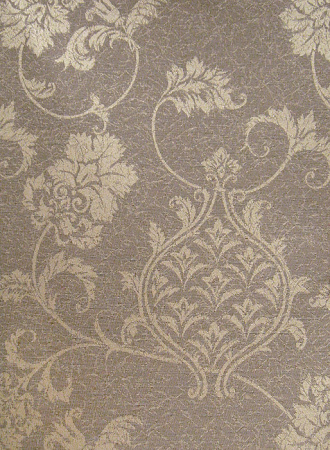 фото Calcutta Pride Pride_Pride309024