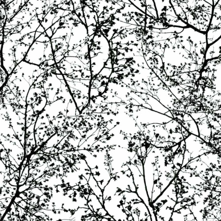фото P+S International Graphics Alive 13264-70