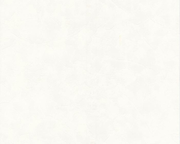купить A.S.Creation White & Colours 511546