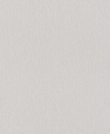 фото Rasch Naturalia 300123