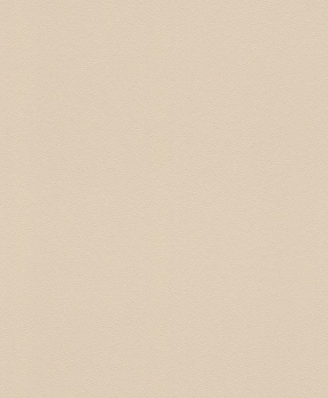 фото Rasch Modern Surfaces 2 607772