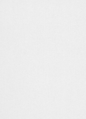 фото Erismann RollOver 5333-10 (5333-01)