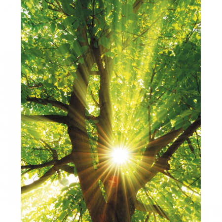 фото Caselio Metaphore 65707070